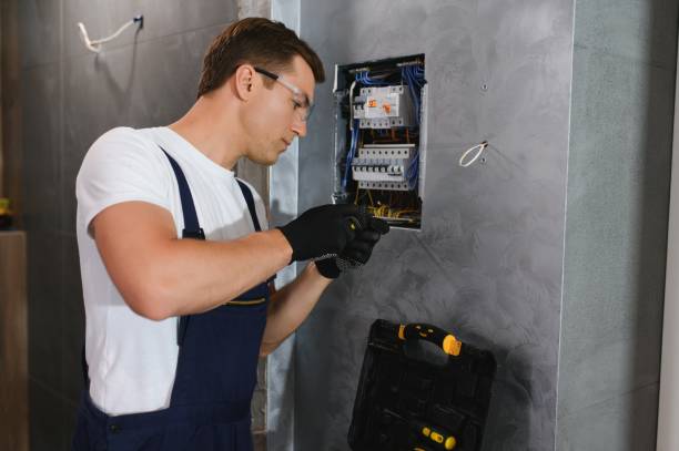 Best Electric Panel Repair  in Seward, AK